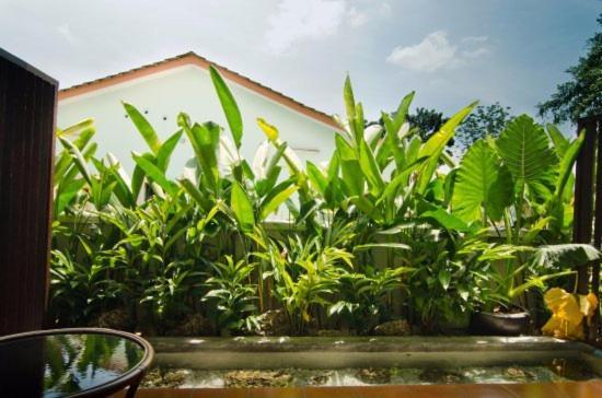Mydream Guest House Ipoh Exteriör bild